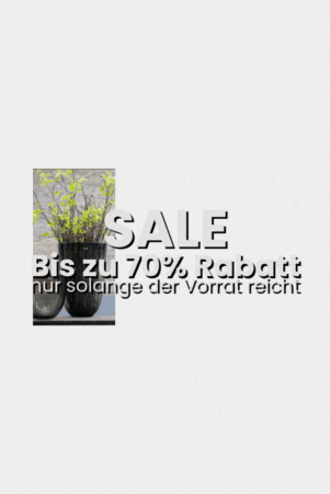 Bis zu 70% Rabatt