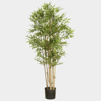 Zawoh Kugelkaktus Kunstpflanze grün 110061-800 | Zawoh 33