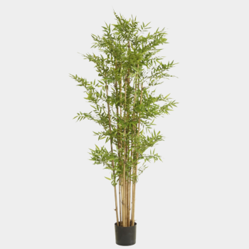 Zawoh Kugelkaktus Kunstpflanze grün 33 Zawoh 110061-800 