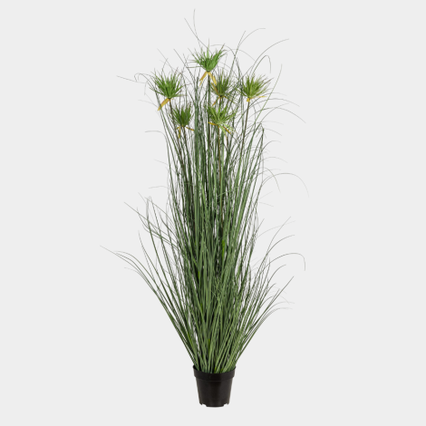 Papyrus im Topf Kunstblume Kunstpflanze grün