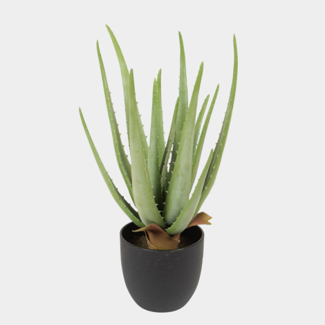 Kunstpflanze Aloe im Topf 38 grün